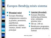 Europos Sąjungos teisė 7 puslapis