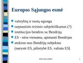 Europos Sąjungos teisė 10 puslapis