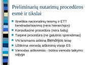 Europos Teisingumo Teismo preliminarių nutarimų procedūros esmė ir taikymas  2 puslapis