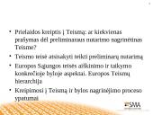 Preliminarūs Europos Teisingumo Teismo nutarimai: jų reikšmė Europos Sąjungos ir nacionalinės teisės taikymui 3 puslapis