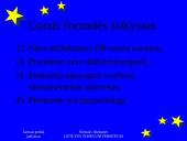 Vidaus rinka 17 puslapis