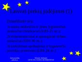 Vidaus rinka 4 puslapis