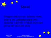 Vidaus rinka 8 puslapis