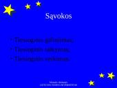 Tiesioginis Europos Bendrijos teisės taikymas ir veikimas 2 puslapis