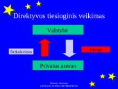 Tiesioginis Europos Bendrijos teisės taikymas ir veikimas 14 puslapis