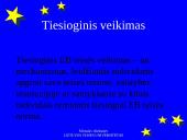 Tiesioginis Europos Bendrijos teisės taikymas ir veikimas 3 puslapis