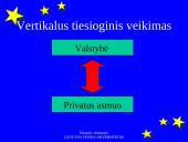 Tiesioginis Europos Bendrijos teisės taikymas ir veikimas 4 puslapis