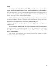 ES bendroji rinka 2 puslapis