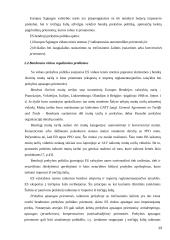 ES bendroji rinka 13 puslapis