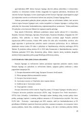 ES bendroji rinka 15 puslapis