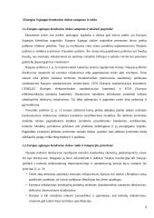 ES bendroji rinka 3 puslapis