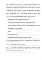 ES bendroji rinka 6 puslapis