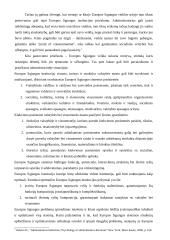 ES struktūrinių fondų administravimas 4 puslapis