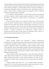 ES struktūrinių fondų administravimas 7 puslapis