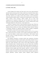 Europos Sajungos struktūriniai investiciniai fondai  3 puslapis