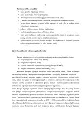 Europos Sajungos struktūriniai investiciniai fondai  7 puslapis