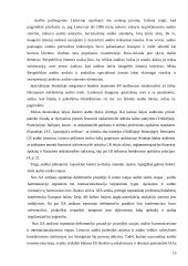 Audito rūmų veikla 15 puslapis