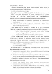 Audito rūmų veikla 19 puslapis