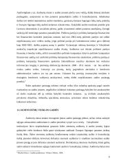 Audito rūmų veikla 8 puslapis