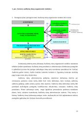 Audito rūmų veikla 10 puslapis
