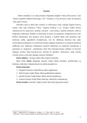 Europos audito rūmų institucija 2 puslapis