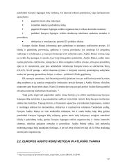 Europos audito rūmų institucija 12 puslapis