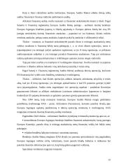 Europos audito rūmų institucija 13 puslapis