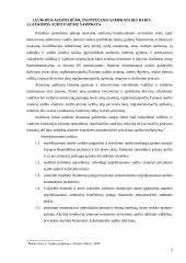 Europos audito rūmų institucija 3 puslapis