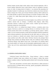 Europos audito rūmų institucija 5 puslapis