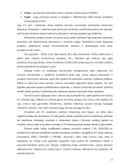 Europos regioninės plėtros fondas ir jo panaudojimas aplinkosaugos srityje 11 puslapis