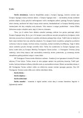 Teisingumą vykdančių institucijų veikla ES 2 puslapis