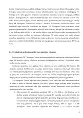 Teisingumą vykdančių institucijų veikla ES 8 puslapis