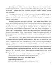 Administracinių sutarčių vieta ir rūšys Lietuvos Respublikos teisės sistemoje 11 puslapis