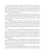 Bendrojo vidaus produkto tendencijos 11 puslapis