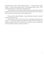 Bendrojo vidaus produkto tendencijos 7 puslapis