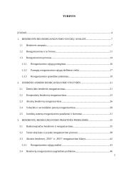 Bendrovės reorganizavimo praktinės problemos 2 puslapis