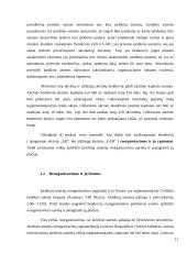 Bendrovės reorganizavimo praktinės problemos 11 puslapis