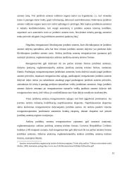 Bendrovės reorganizavimo praktinės problemos 13 puslapis