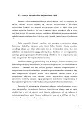 Bendrovės reorganizavimo praktinės problemos 17 puslapis