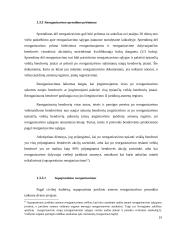 Bendrovės reorganizavimo praktinės problemos 19 puslapis