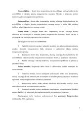 Bendrovės reorganizavimo praktinės problemos 5 puslapis