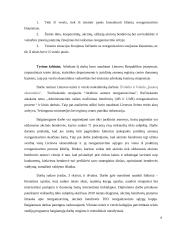 Bendrovės reorganizavimo praktinės problemos 6 puslapis