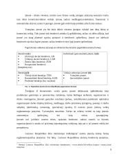 Bendrovės reorganizavimo praktinės problemos 8 puslapis