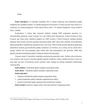 Branduolinio ginklo naudojimas tarptautinėje teisėje 2 puslapis