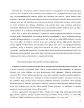 Branduolinio ginklo naudojimas tarptautinėje teisėje 12 puslapis