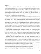 Branduolinio ginklo naudojimas tarptautinėje teisėje 5 puslapis