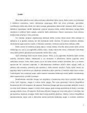 Darbo sutarties sudarymas 2 puslapis