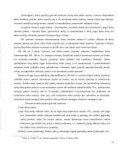 Darbo sutarties sudarymas 13 puslapis