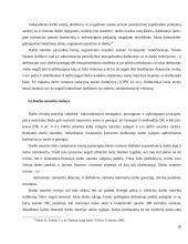 Darbo sutarties sudarymas 20 puslapis