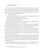 Darbo sutarties sudarymas 6 puslapis